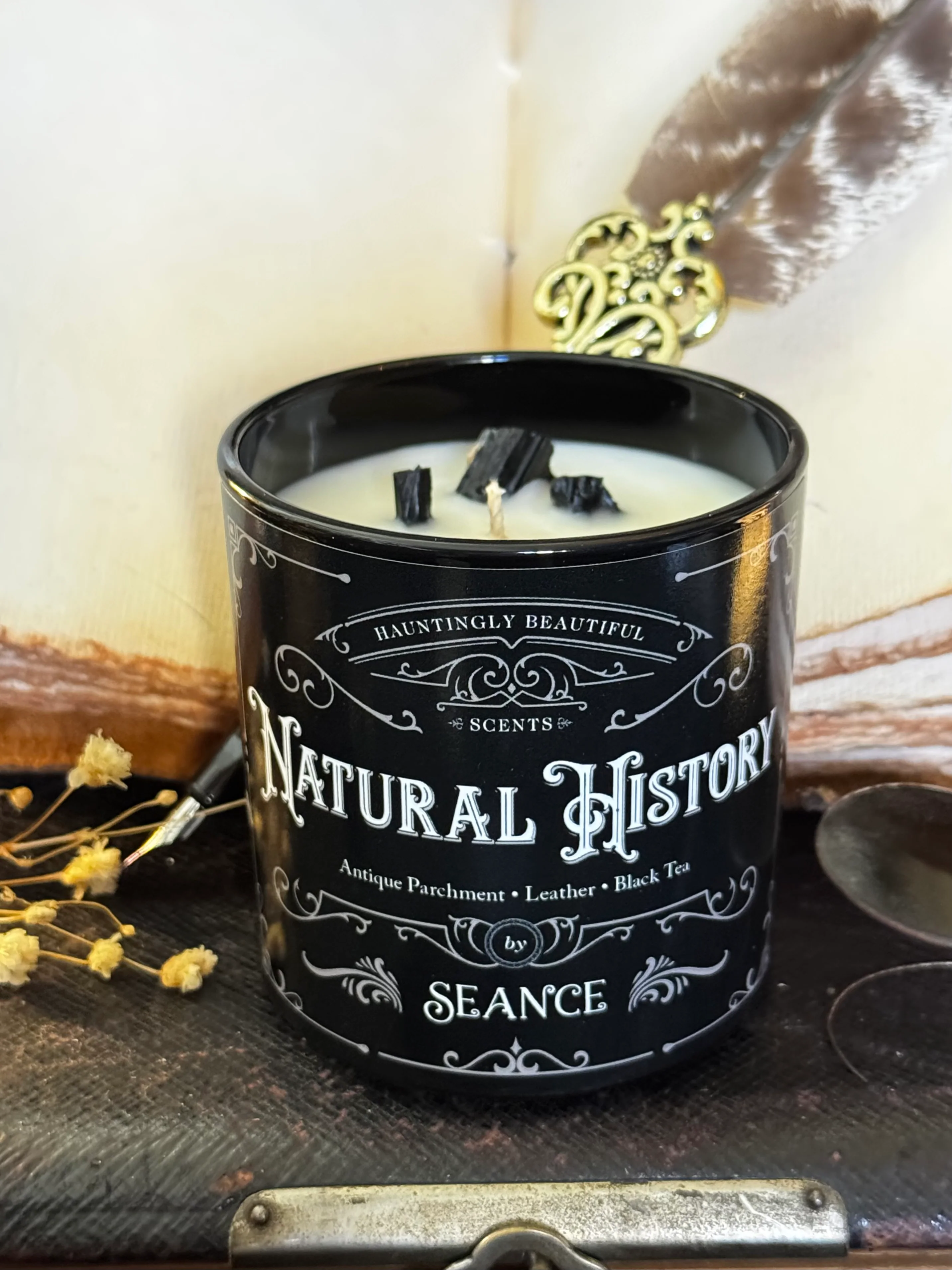 Natural History candle - Image 4