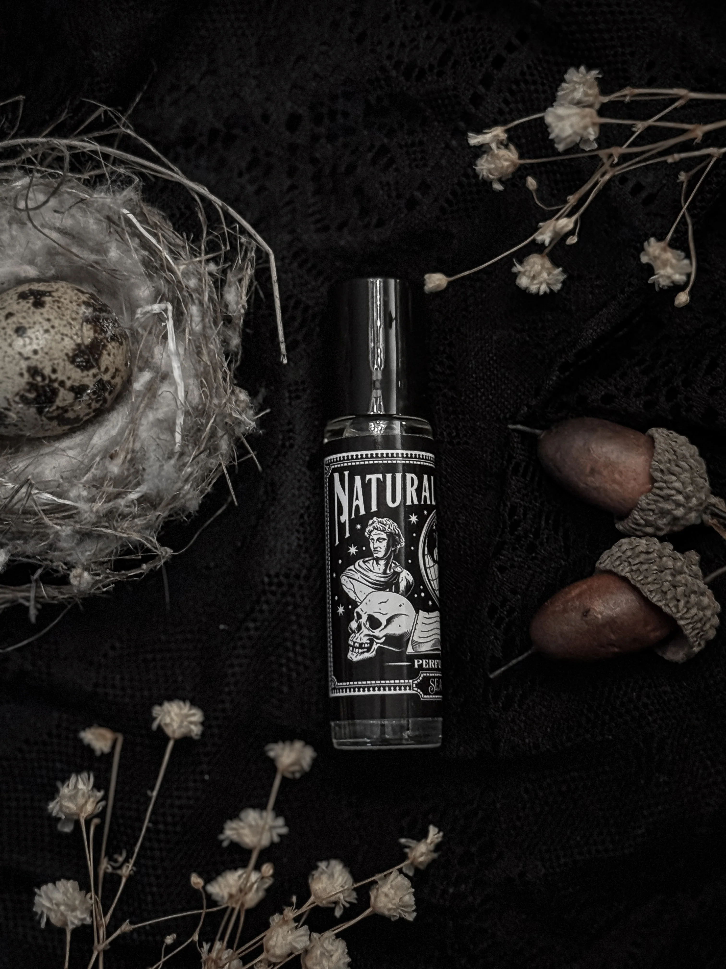 Natural History (old books & black tea) - Image 5