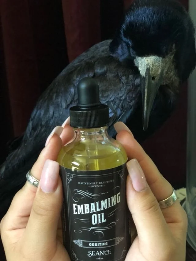 Oddities  - Embalming Lotion Oil - - Image 4
