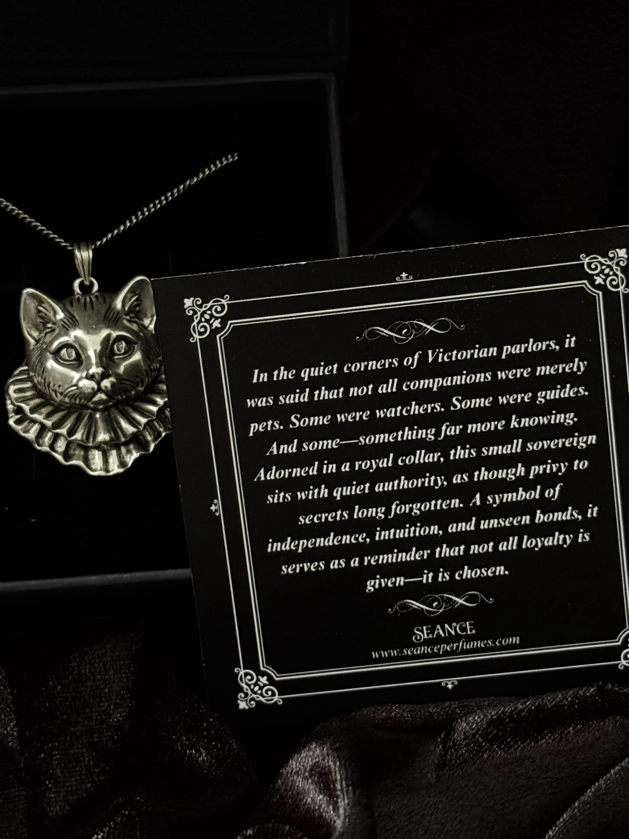 The Aristocat - Image 6