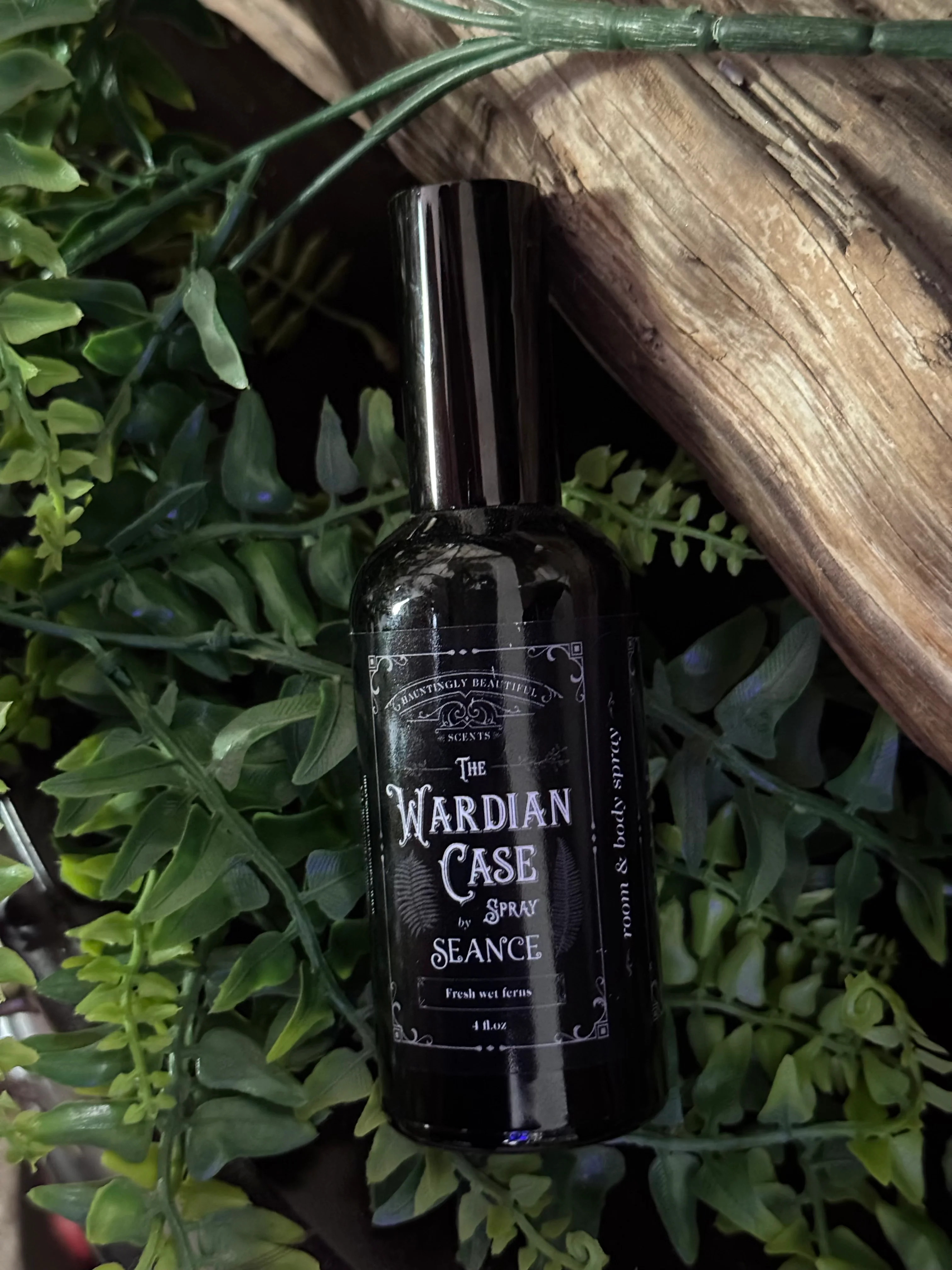 The Wardian Case Spray (fern terrarium) - Image 3