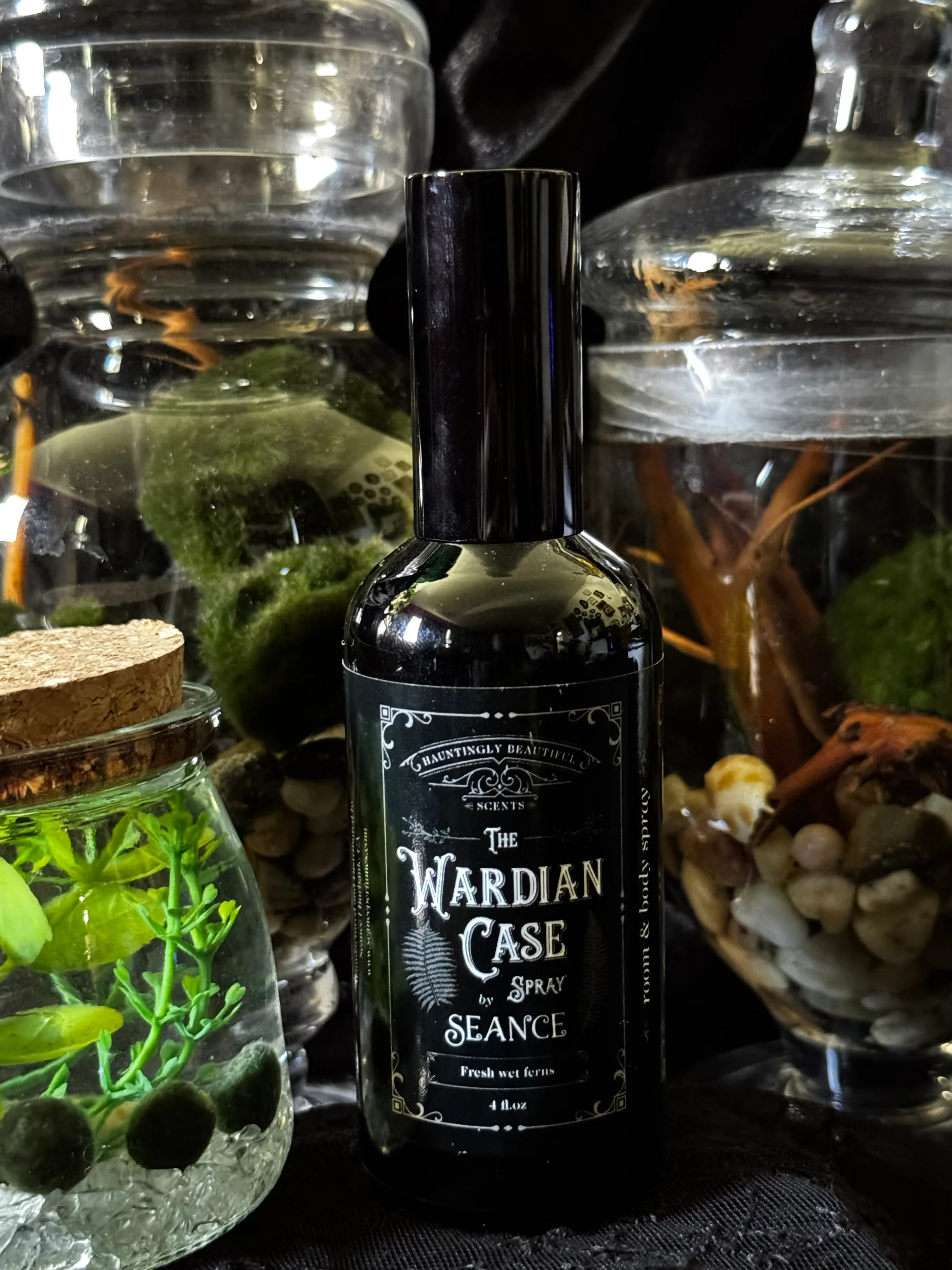 The Wardian Case Spray (fern terrarium) - Image 4