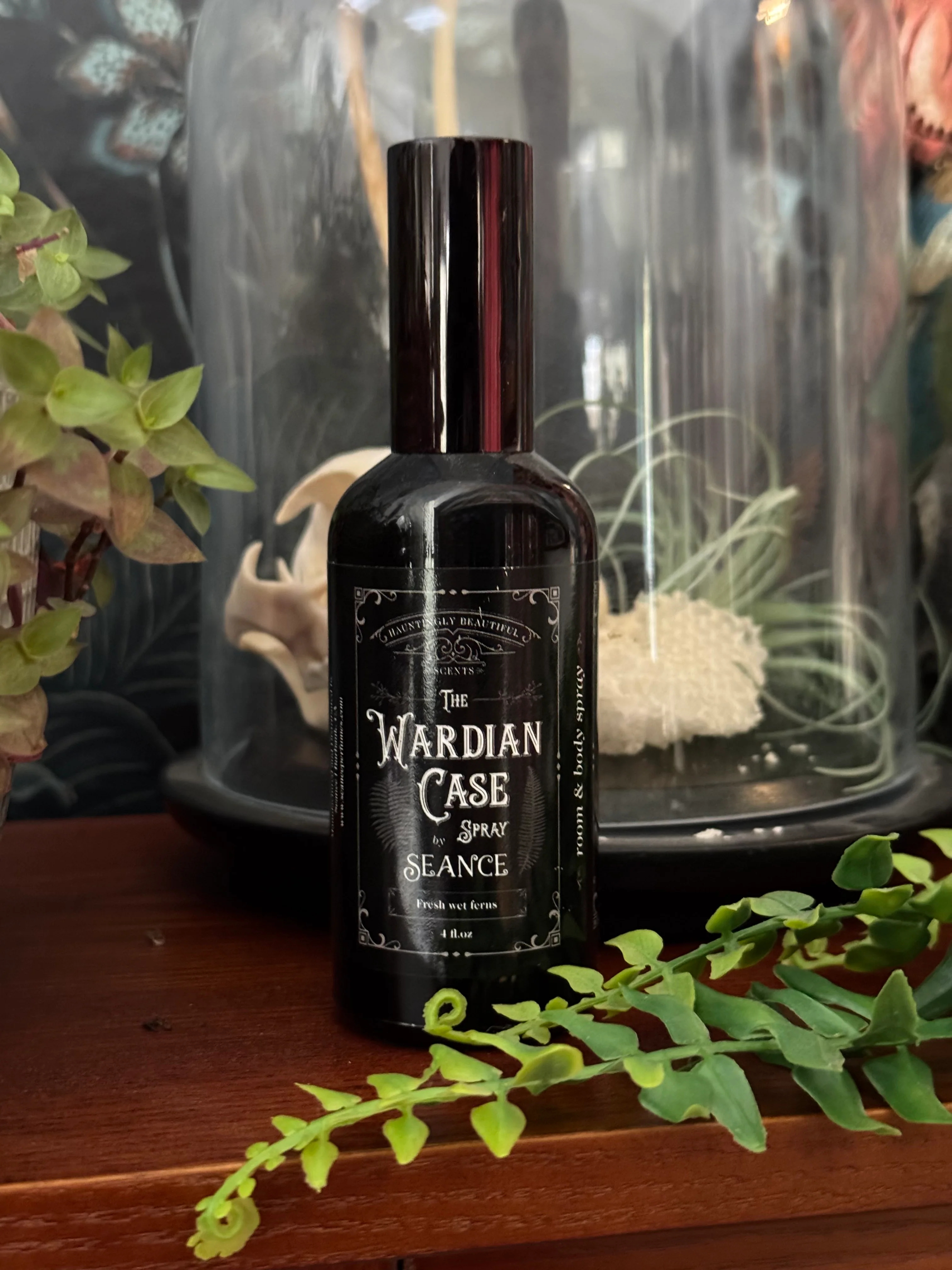 The Wardian Case Spray (fern terrarium) - Image 6