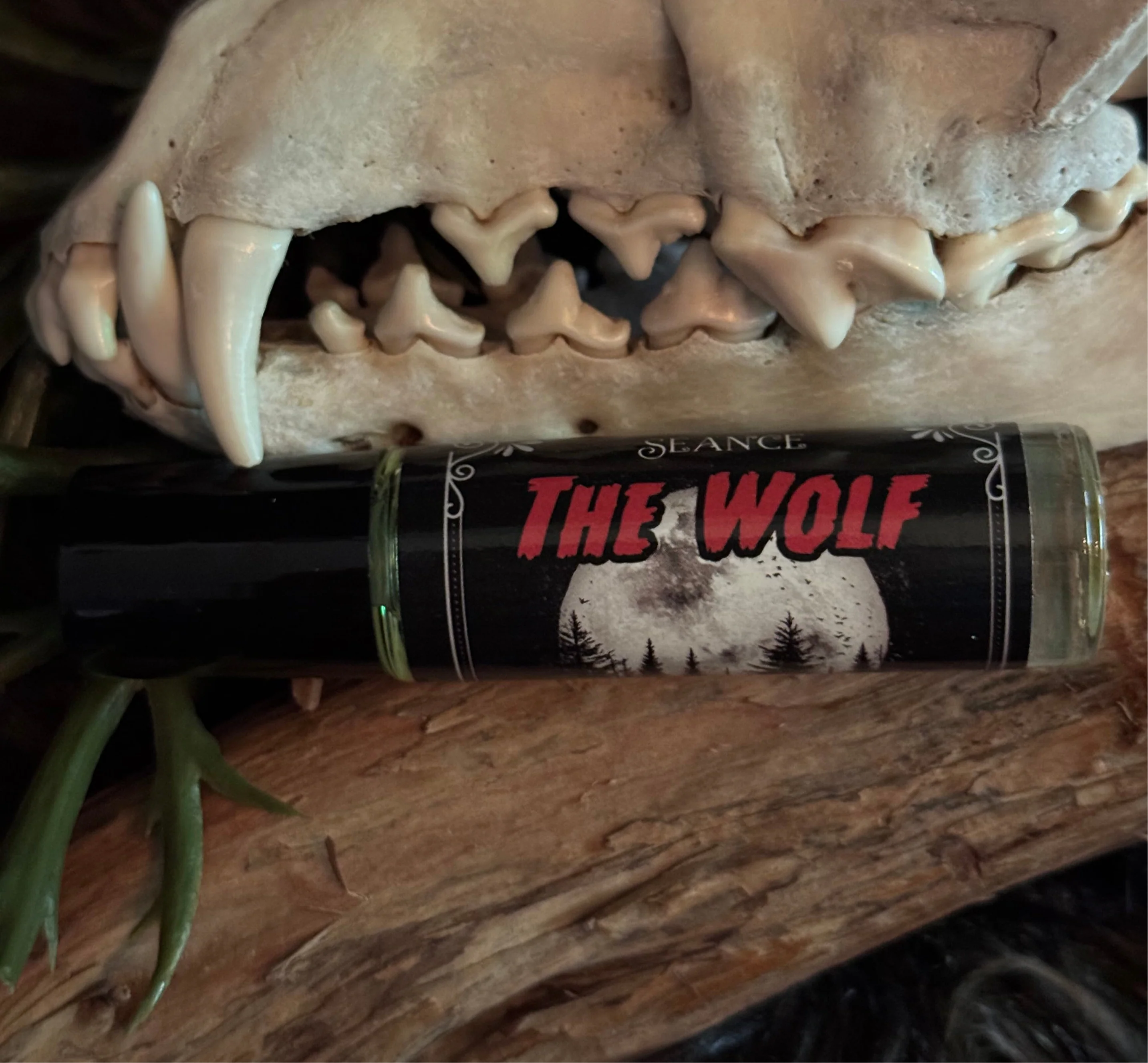 The Wolf (forest & musk) - Image 12