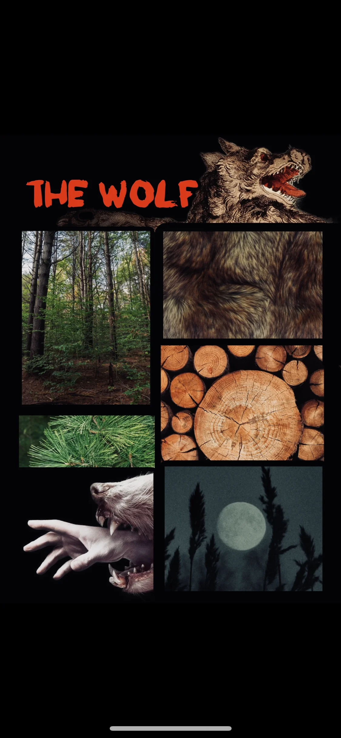 The Wolf (forest & musk) - Image 14