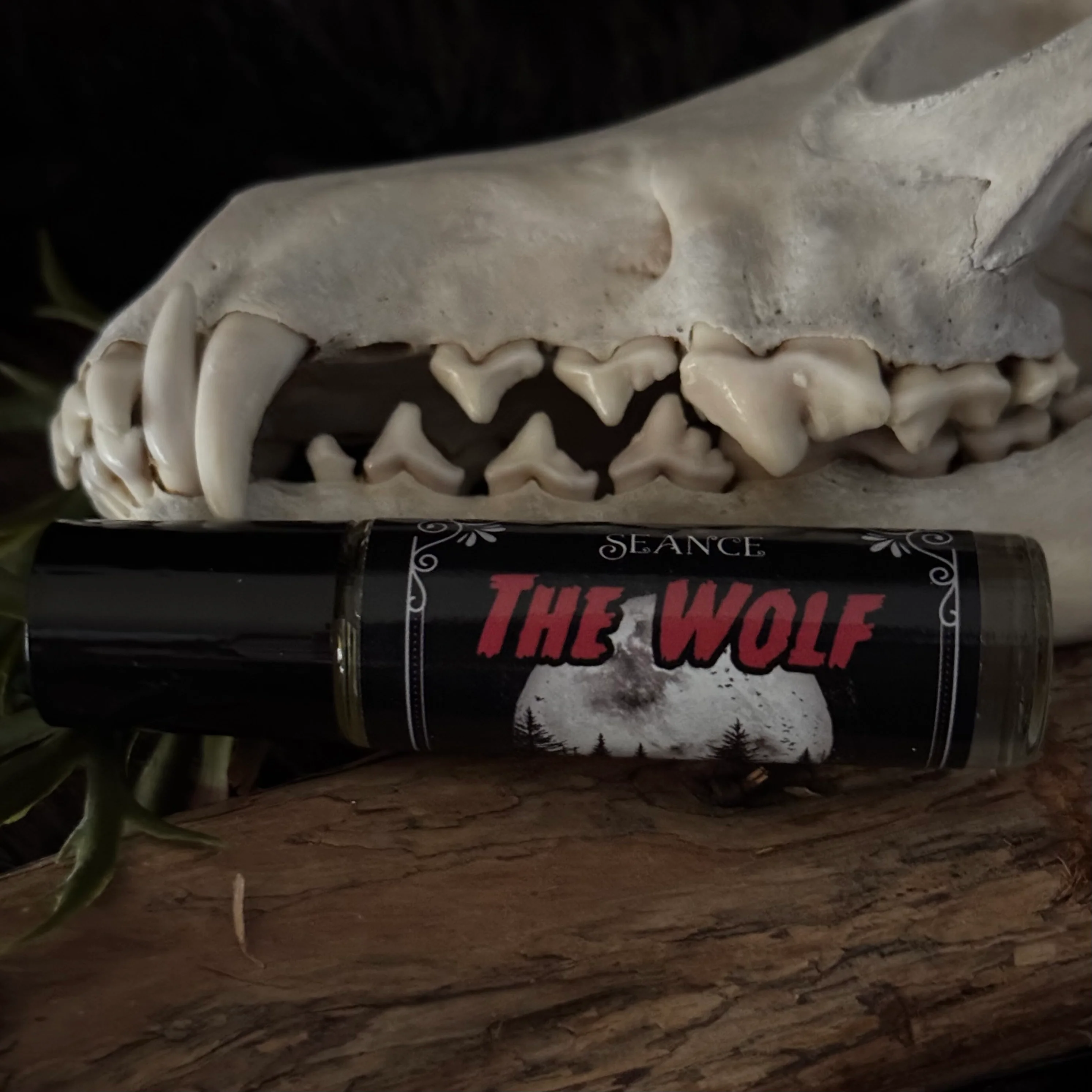 The Wolf (forest & musk) - Image 17