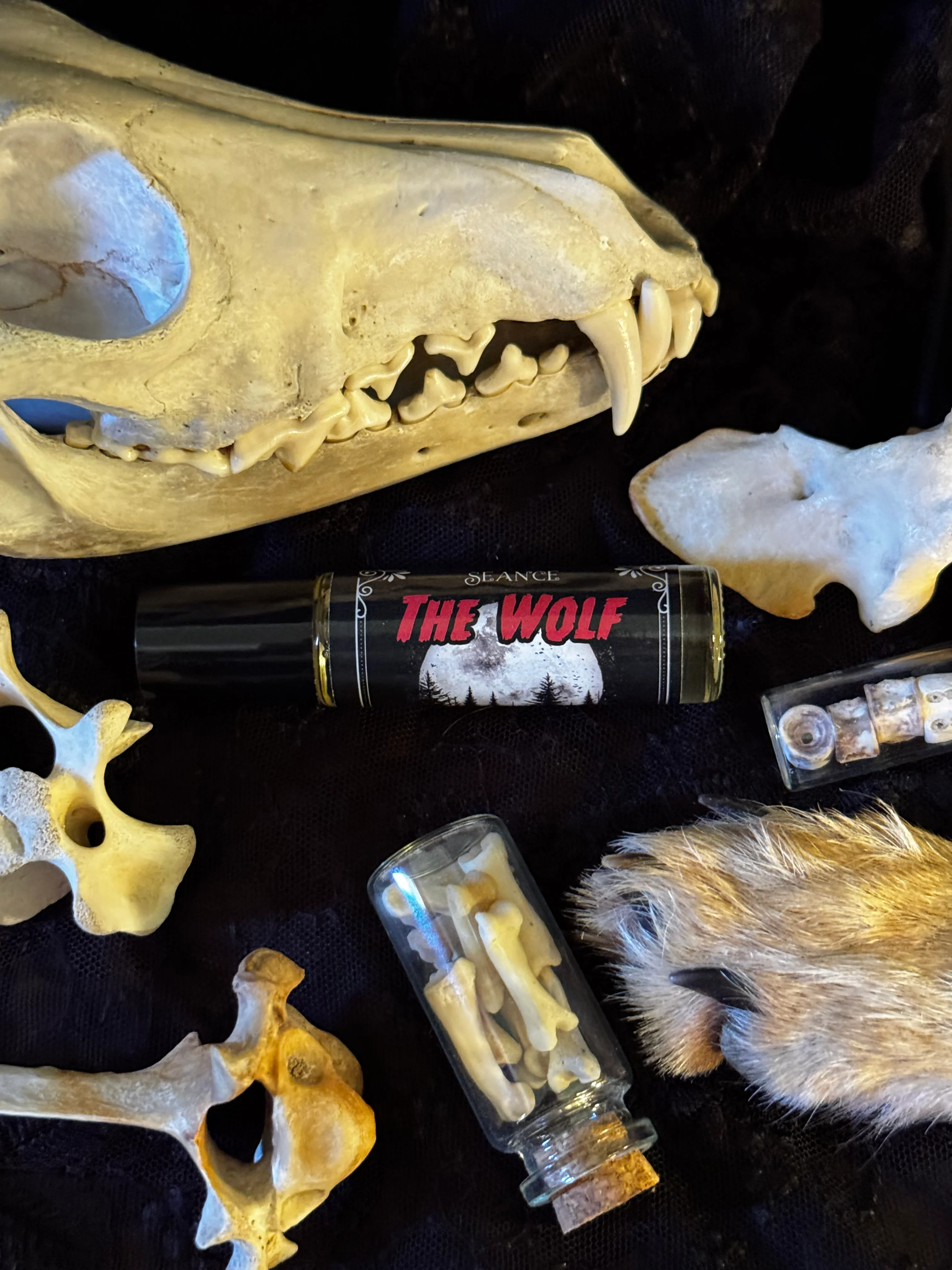 The Wolf (forest & musk) - Image 4